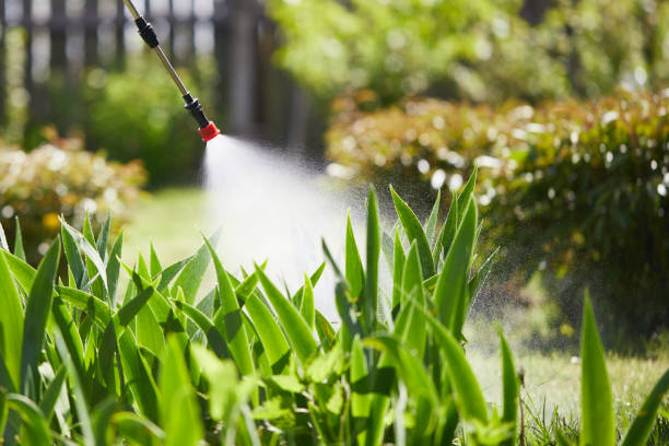 Tamper-Resistant Bait Stations for Rodents in West Liberty