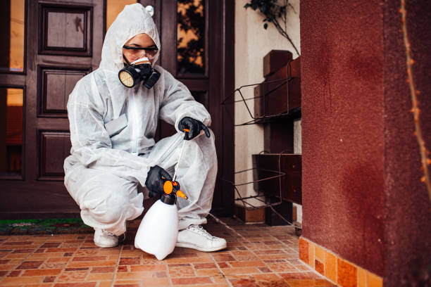Attic and Crawl Space Rodent Treatment in West Liberty