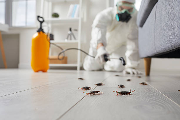 Commercial Rodent Management in West Liberty